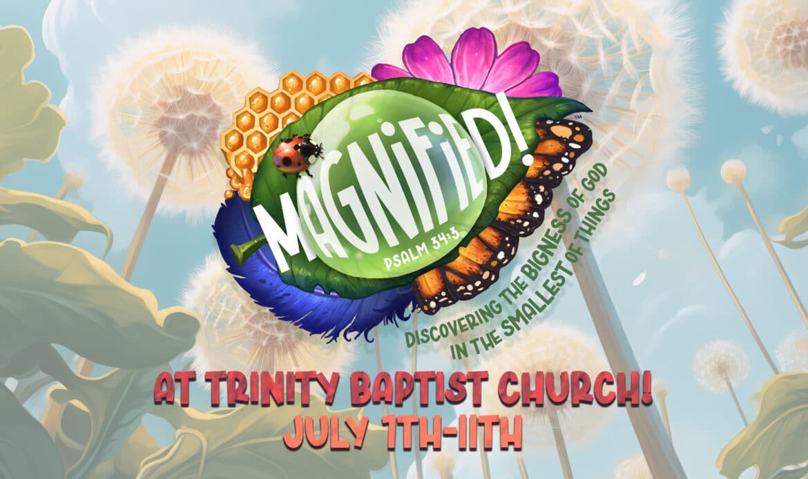 vacation bible school magnified katy texas july